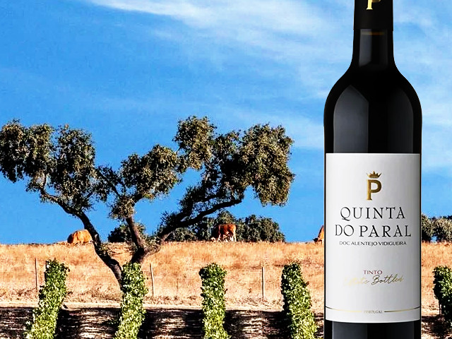 Vinhos DOC Alentejo, distrito de Beja &copy; Internet, ilustração