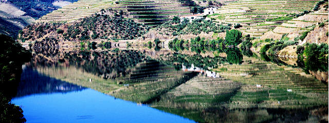Paisagem do Douro, Região Norte de Portugal &copy; Images of Portugal