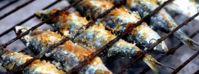 Portimão, terra de pesca, Distrito de Faro, Algarve &copy; Images of Portugal