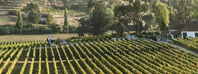 Reisgids naar Portugal