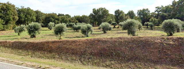 Guia de Portugal