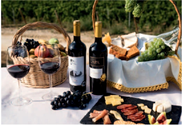 Guia Vinhos de Portugal