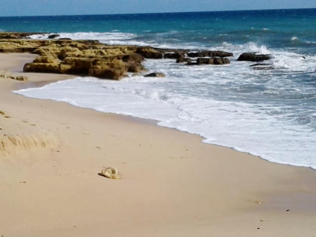 Praia Manuel Lourenço, Albufeira, Distrito de Faro (Algarve), Sul de Portugal © / Restaurante Manuel Lourenço