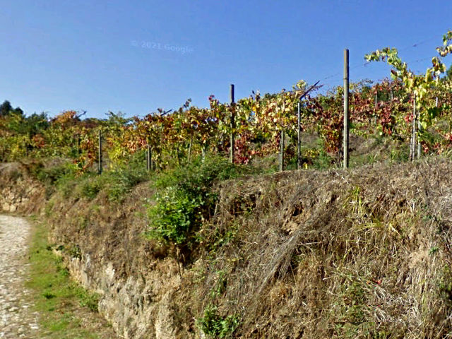 Guia de Portugal