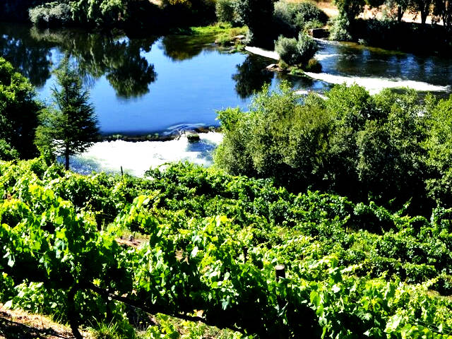 Vinhas da Quinta do Cerqueiral em Arcos de Valdevez, distrito de Viana do Castelo, Alto Minho &copy; / CM de Arcos de Valdevez, ilustração