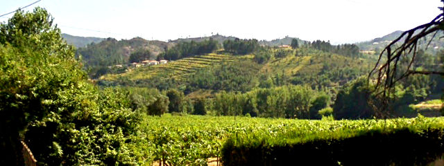 Paisagem e Vinhas em Cabeceiras de Basto &copy;  / Google Earth Pro Ilustração