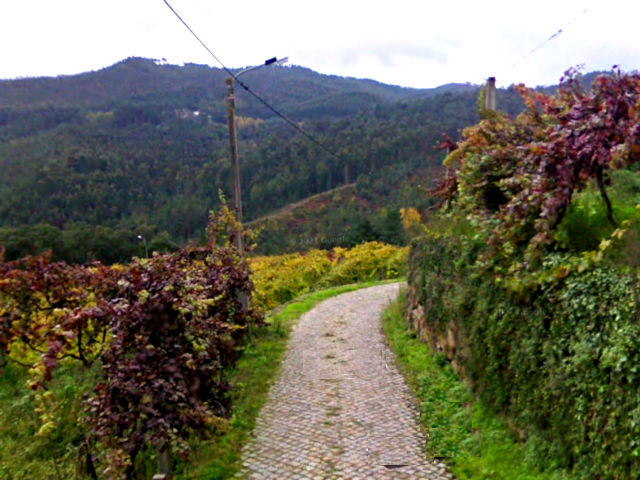Guia de Castelo de Paiva