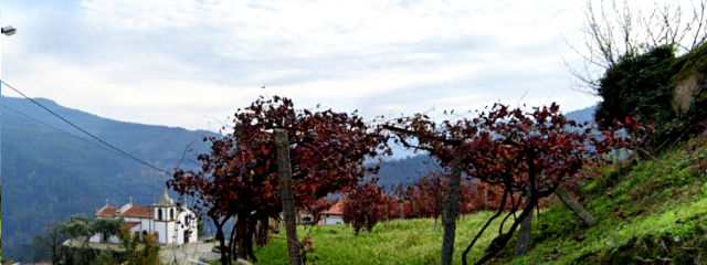 Guia de Castelo de Paiva