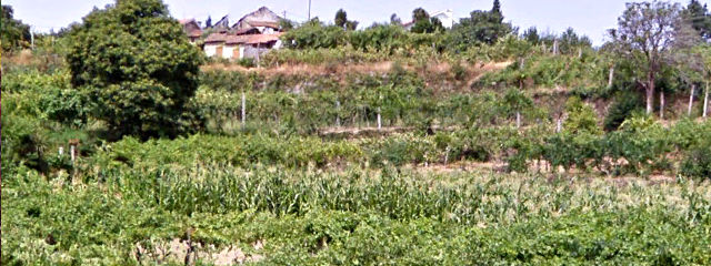 Guia de Castelo de Paiva