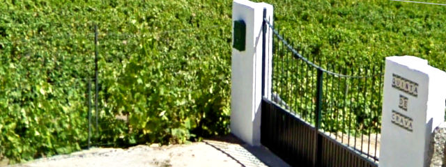 Guia de Castelo de Paiva