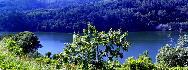 Guia de Castelo de Paiva