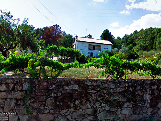 Vinhas em Bustelo, freguesia de Chaves, distrito de Vila Real (Alto Trás-os-Montes), Norte de Portugal &copy; GEP