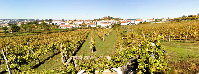 Paisagem e Vinhas em Felgueiras, no Sousa, Distrito do Porto, Douro Litoral (Região Norte) &copy; Google Earth Pro