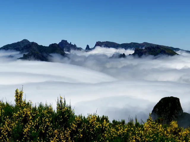 Clima na Ilha da Madeira, Portugal &copy; Tempo, ilustração