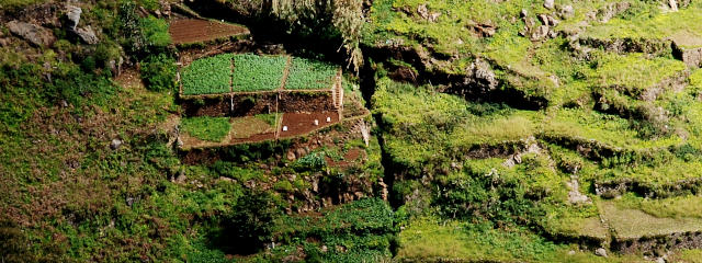 Poios ou socalcos onde são cultivadas as vinhas, Ilha da Madeira, Portugal &copy; Pedro Simões/CC, ilustração