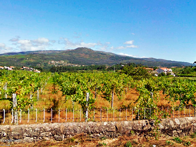 Guia do Minho