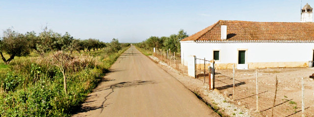 Olival em Moura (Distrito de Beja), no Baixo Alentejo &copy; GEP, Ilustração
