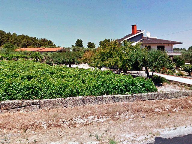 Vinhas na freguesia de Possacos, município de Valpaços, distrito de Vila Real (Alto Trás-os-Montes), Norte de Portugal &copy; Google Earth Pro