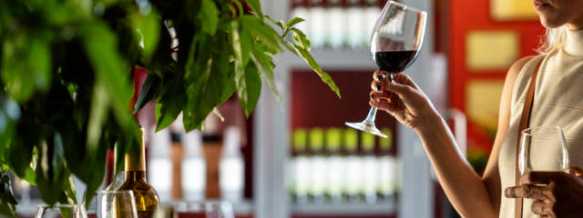 Guia Vinhos de Portugal