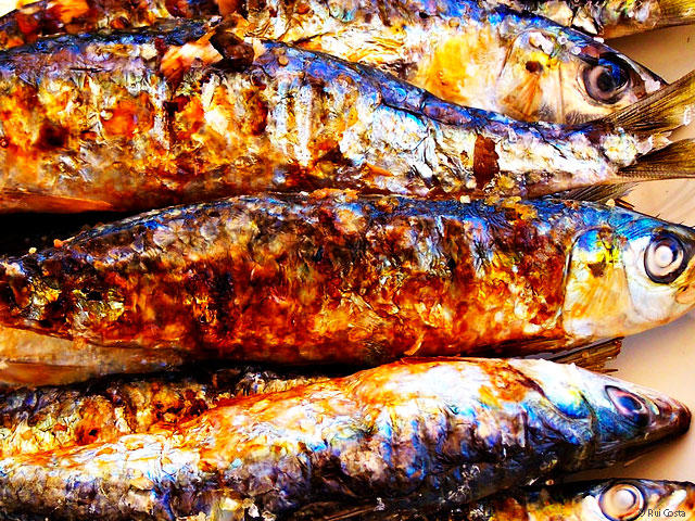 Sardinhas na grelha, petisco e especialidade típica do Algarve, Sul de Portugal &copy; / Internet, ilustração