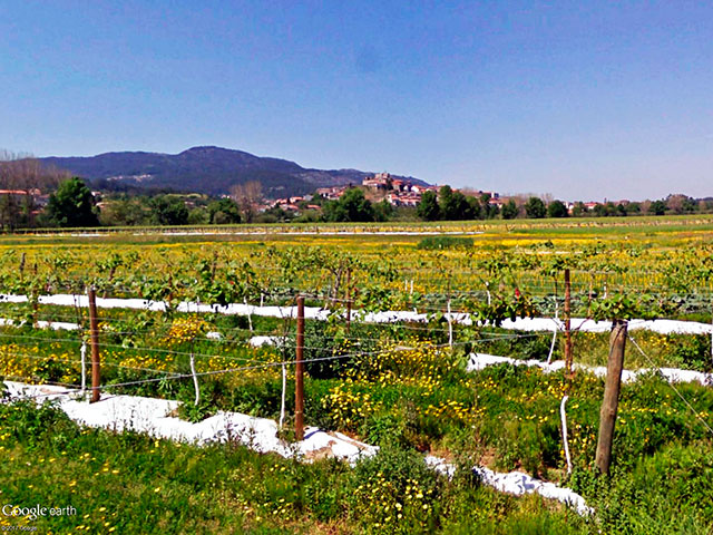 Guia de Valença