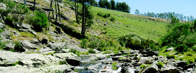 Parque Natural do Alvão, Vila Real &copy; Carlos Cunha / CC