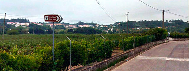 Guia Vinhos de Portugal