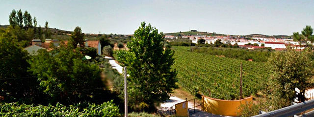 Vinhedo em Borba. Vinhos do Alentejo, Guia de Portugal