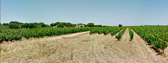 Guia Vinhos de Portugal