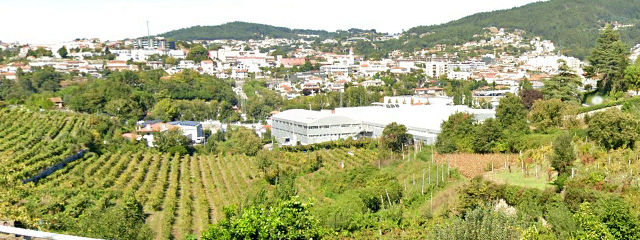 Paisagem e vinhas em Vizela, no Vale do Ave, Distrito de Braga, Minho (Região Norte) &copy; Google Earth Pro